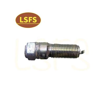 OEM 10162965 Zündstecker für Maxus G10 2.0T High Standard