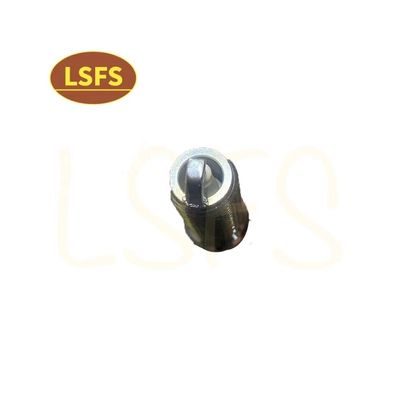 OEM 10162965 Zündstecker für Maxus G10 2.0T High Standard