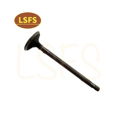 G10 MPV angepasstes Einlassventil für Maxus D90 G20 T60 OEM C00111120