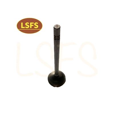 G10 MPV angepasstes Einlassventil für Maxus D90 G20 T60 OEM C00111120