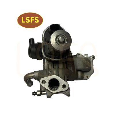 EGR-Ventil-Kit für MAXUS T60 D90 V80 und Durable Steal OE